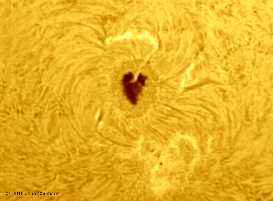 Falling for the Sun: Heart-Shaped Sunspot Thrills Astrophotographer